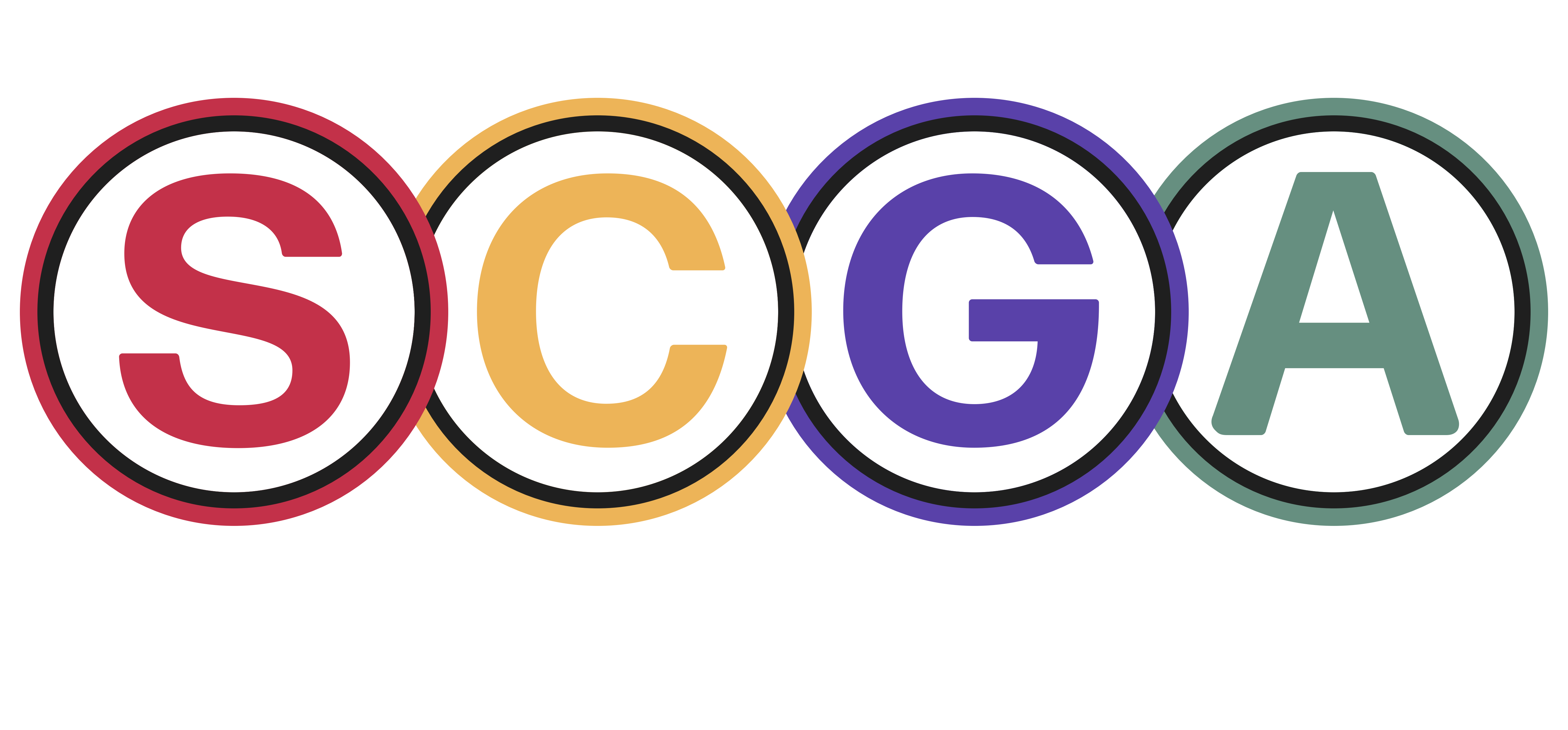 Sarnia Gaming Association Logo